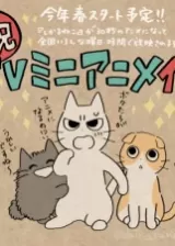 Аниме Ругающий кот постер