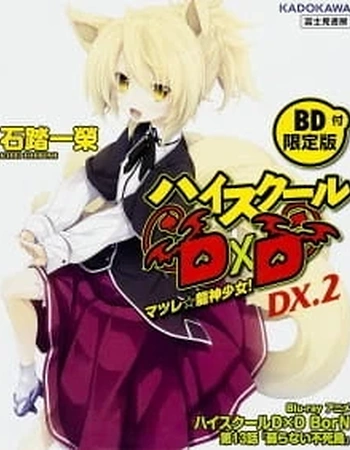 Постер к аниме Старшая школа DxD: Рождение — Эпизод 13
