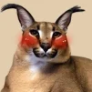 Floppa6