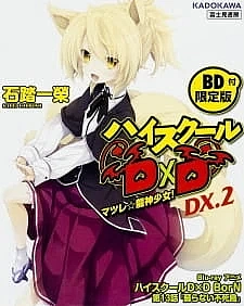 Постер к аниме Старшая школа DxD: Рождение — Эпизод 13